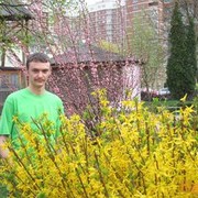  ,   Anemo, 37 ,     , c 