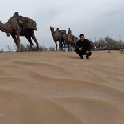 ���������� ������, ���� ������� �����  ���, 43 ����, ������������ ��� ������, ����� � ���������