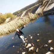 ���������� ����, ���� ������� ���������, 40 ���, ������������ ��� ������, ����� � ���������, c�������� ���������