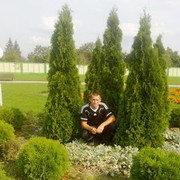 ���������� �������, ���� ������� �����, 41 ���, ������������ ��� ������, ����� � ���������, c�������� ���������