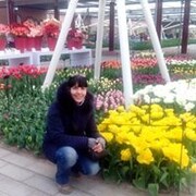 ���������� �����, ���� ������� �������, 56 ���, ������������ ��� ������, ����� � ���������, c�������� ���������