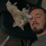  ,   Galip, 25 ,   ,   , c 