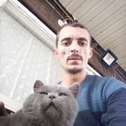  ,   , 37 ,   ,   , c 