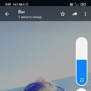 ���������� ���������, ���� ������� ���������, 42 ����, ������������ 