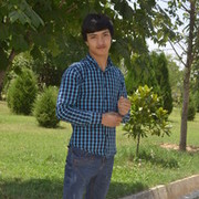  ,   Alisher, 33 ,   ,   , c 