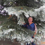 ���������� ������������, ���� ������� ������, 46 ���, ������������ ��� ������