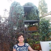  --,   , 55 ,     , c 