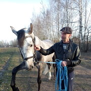  ,   , 53 ,  