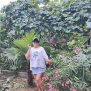  ,   , 65 ,   ,   
