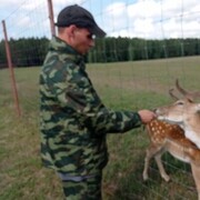 ���������� �����, ���� ������� ������, 37 ���, ������������ ��� ������, ����� � ���������