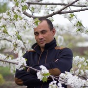  ,   , 43 ,   ,   , c 