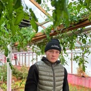 ���������� �������������-����������, ���� ������� ����, 26 ���, ������������ ��� ������, ����� � ���������