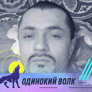  ,   Sanyok, 36 ,   ,   , c 