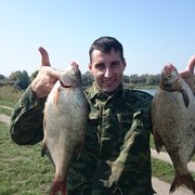 ���������� ���������, ������� ����, 41