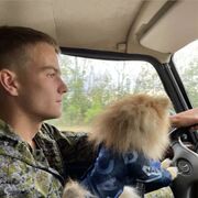 ���������� �������, ���� ����� ��������, 23 ����, ������������ ��� ������, ����� � ���������