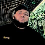 ���������� �������, ���� ������� �����, 34 ����, ������������ ��� ������, ����� � ���������