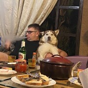 ���������� ������, ���� ������� �����, 29 ���, ������������ ��� ����� � ���������, c�������� ���������, ���������