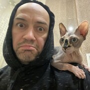  -,   , 39 ,   ,   