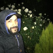  ,   Tazi, 41 ,   ,   