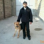  ,   Roman, 36 ,   ,   , c 