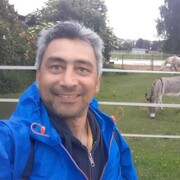  Ladbergen,  Archi, 46