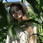  -,   , 24 ,   ,   , c 