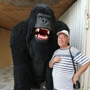 ���������� ����, ���� ������� ������, 70 ���, ������������ ��� c�������� ���������