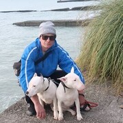 ���������� �����, ���� ������� �������, 38 ���, ������������ ��� c�������� ���������