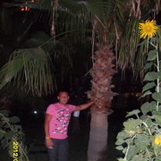  ,   , 36 ,   