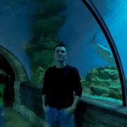 ���������� ������������, ���� ����� ������, 22 ����, ������������ ��� ����� � ���������, c�������� ���������