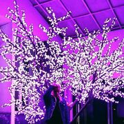  ,   Yurik, 21 ,   ,   
