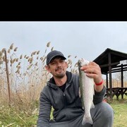 ���������� ���������, ���� ������� �����, 42 ����, ������������ ��� ������, ����� � ���������