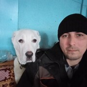 ���������� �����, ���� ������� ������, 38 ���, ������������ ��� ������