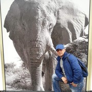 ���������� �������, ���� ������� ������, 49 ���, ������������ ��� ������, ����� � ���������, c�������� ���������