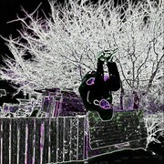  ,   , 24 ,   ,   , c 