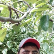 ,   , 43 ,   ,   , c 