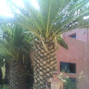  ,   Sharapov58, 66 ,  