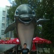 ���������� ��������������, ���� ������� ���������, 36 ���, ������������ ��� ������