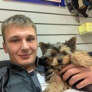 ���������� ��������, ���� ������� ������, 31 ���, ������������ ��� ������, ����� � ���������, c�������� ���������, ���������