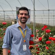 ���������� ����������, ���� ������� ������, 38 ���, ������������ ��� ������, ����� � ���������