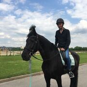 ���������� ������, ���� ������� ���������, 31 ���, ������������ ��� ������, ����� � ���������, c�������� ���������, ���������