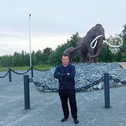 ���������� �������������, ���� ������� ������, 31 ���, ������������ ��� ������, ����� � ���������, c�������� ���������