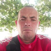 ���������� �������, ���� ������� ���������, 31 ���, ������������ ��� ������, ����� � ���������, c�������� ���������, ���������