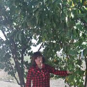  ,   , 44 ,   c , 