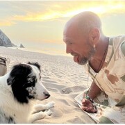 ���������� ������, ���� ������� ����, 46 ���, ������������ ��� ������, ����� � ���������, c�������� ���������