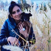 ���������� ������, ���� ������� ��������, 27 ���, ������������ ��� ������, ����� � ���������, c�������� ���������