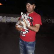  ,   HARUT, 39 ,   ,   , c , 