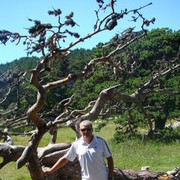 ���������� �������, ���� ������� ������, 60 ���, ������������ ��� ������