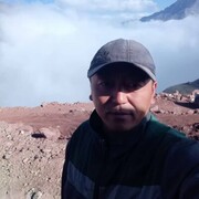 ���������� ����������, ���� ������� Asdf, 37 ���, ������������ ��� ������, ����� � ���������