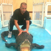 ���������� ���������, ���� ������� ��������, 60 ���, ������������ ��� ������, ����� � ���������, c�������� ���������